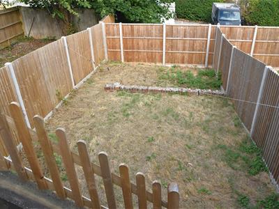 Picture 11